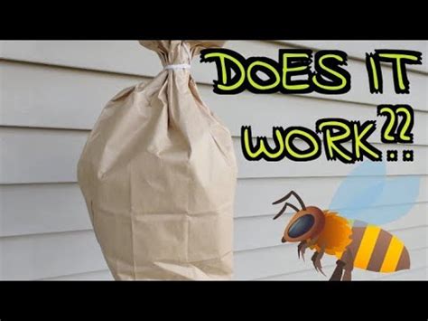 wasp hanging paper bag